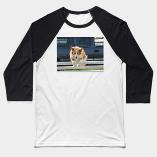 Dog jumping Baseball T-Shirt